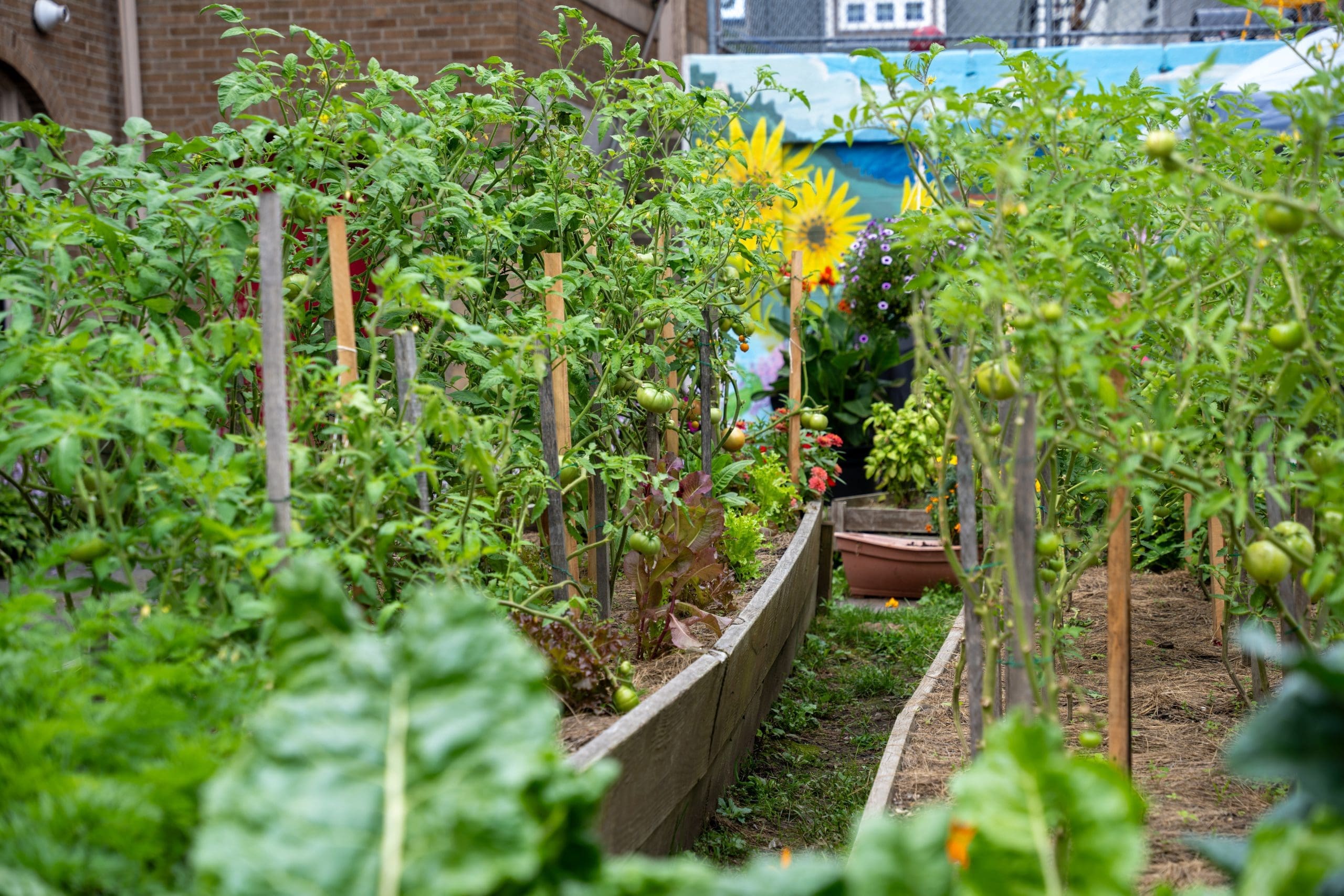 Community Meals Program
