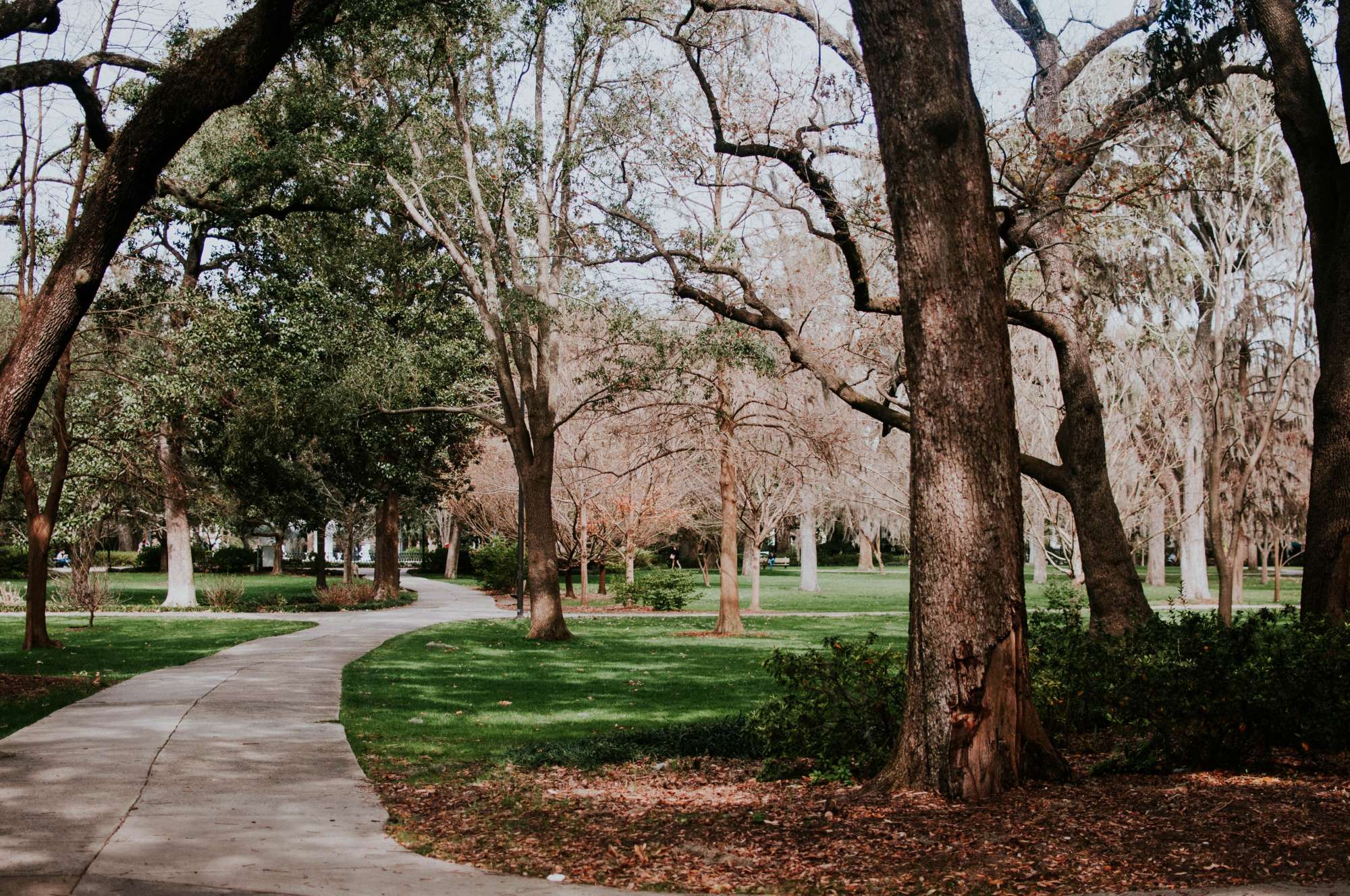A photograph of a park.
