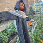 A pumpkin-headed scarecrow decorates the Seeds of Hope community garden for Halloween
