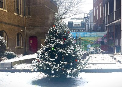 Decorated and lit Christmas tree in the snow at seeds of hope garden